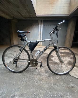 City bike Olympia