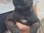 Immagine 3