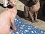 Immagine 1
