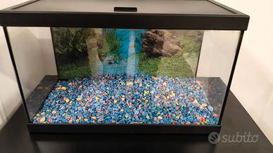 Acquario più mobile