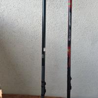 2 canne bolognesi 7 mt tubertini.6 MT scimano 