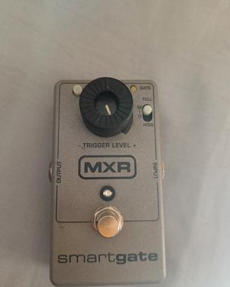 MXR-M135 smart gate