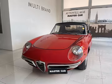 Alfa Romeo Spider duetto osso di seppia