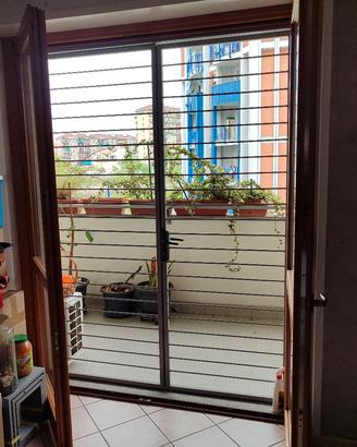 Inferriata di sicurezza & trasporto 