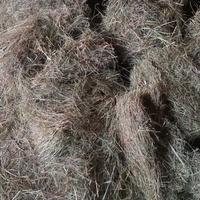 Fieno in ballette da 15 kg