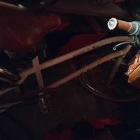 bicicletta cruiser  bottecchia 