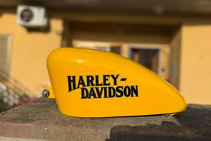 Serbatoio Harley-Davidson 883 – Dipinto a mano