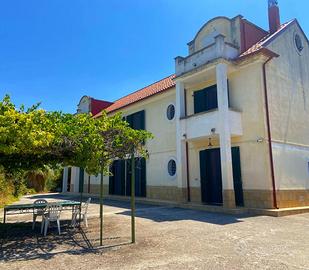 Villa 300 mq con ettaro di terreno
