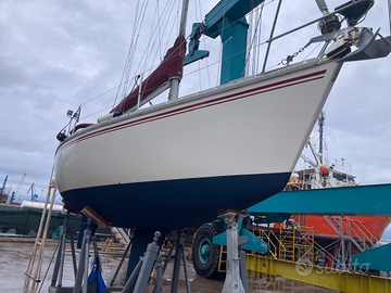 Barca a vela Elan 31