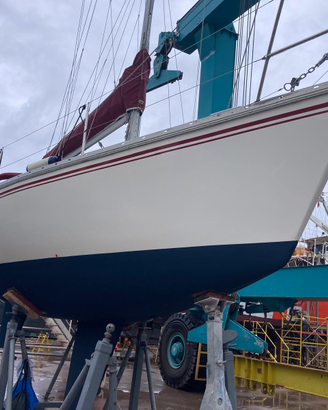 Barca a vela Elan 31