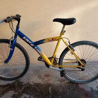 Bicicletta Mountain bike 