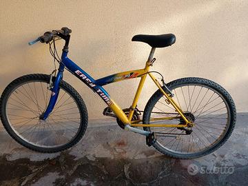 Bicicletta Mountain bike 