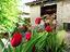 Immagine 27