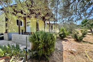 Terreno Con Casetta Li punti