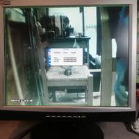 MONITOR AMW 17 POLLICI