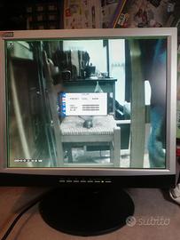 MONITOR AMW 17 POLLICI