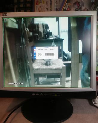 MONITOR AMW 17 POLLICI