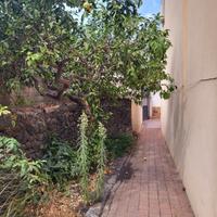 Indipendente centrale