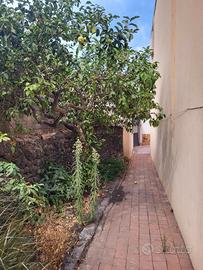 Indipendente centrale