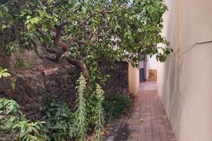 Indipendente centrale