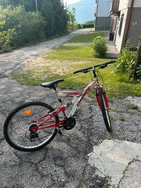 Bicicletta Experia xxl