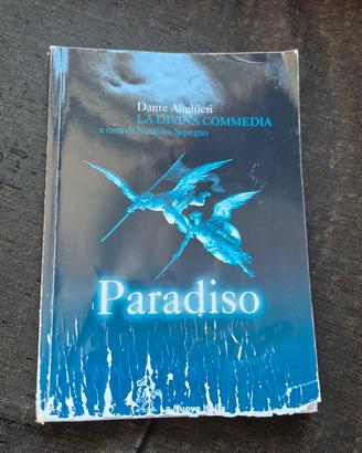 Dante Alighieri Paradiso e Gudia allo studio