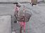 Immagine 4