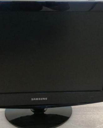 Monitor PC_TV 19 pollici Samsung