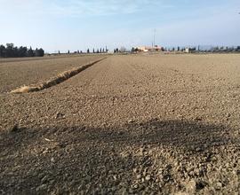 Terreno agricolo con capannone