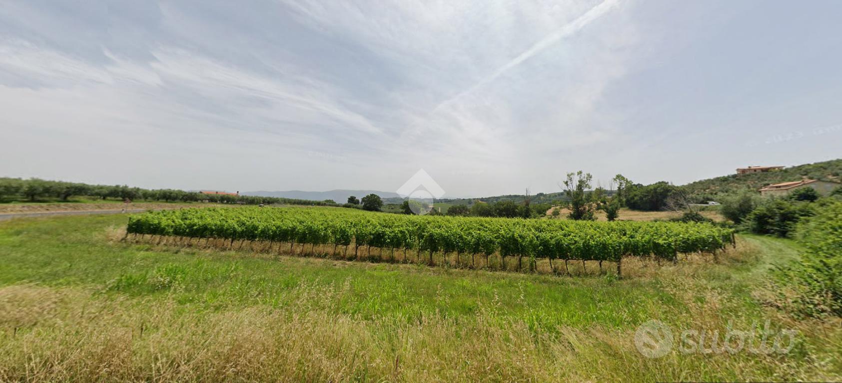 TER. AGRICOLO A BEVAGNA - Vista 4