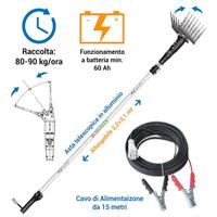 Cogliolive / abbacchiatore  A3 minelli