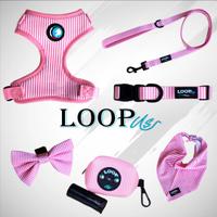 Set accessori da passeggio per cani