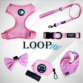 Set accessori da passeggio per cani