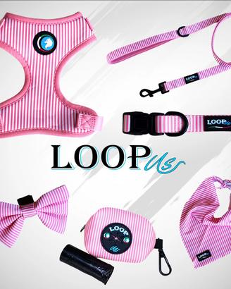 Set accessori da passeggio per cani