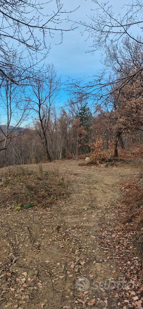 Terreno, bosco - Vista 3