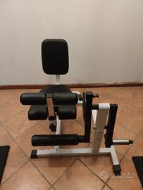 Leg extension leg curl Bad Company