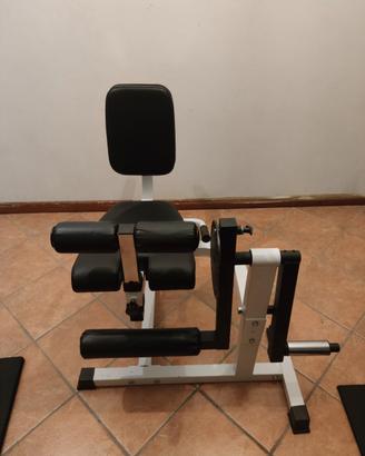 Leg extension leg curl Bad Company