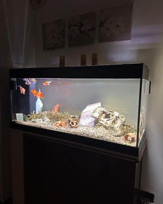 Acquario completo
