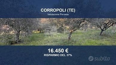 Immobile in asta di 4660 m² a Corropoli