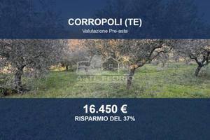 Immobile in asta di 4660 m² a Corropoli