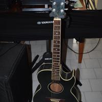 Chitarra Ibanez