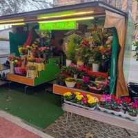 Vendita banco da mercato mobile