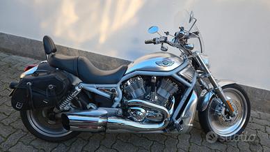 Harley-davidson V-Rod CENTENARIO