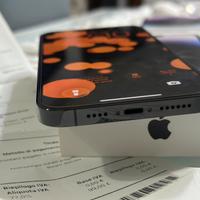 iPhone 14 pro max 256 sostituito in apple store