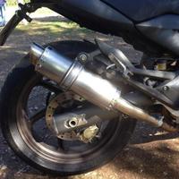 Thunder Titanium Roadsitalia Cagiva Raptor 650