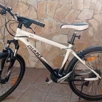 bici Mountain bike 