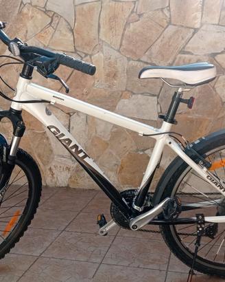 bici Mountain bike 