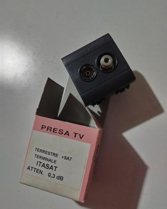 Presa TV + SAT Bticino Living International