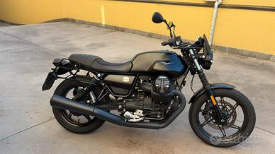 V7 STONE 2021 perfetta