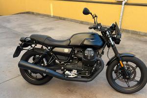 V7 STONE 2021 perfetta